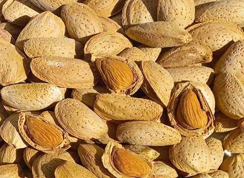 بادام سنگی مرغوب ایرانی با شرایط ویژه